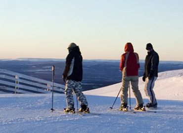 Utförsåkning